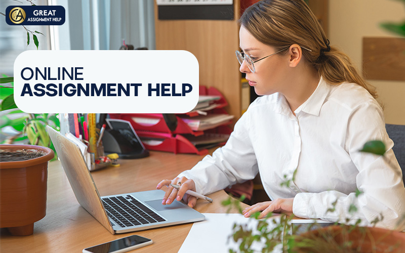 How Students in the USA Can Find the Best Assignment Help